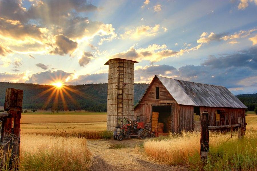 Managed Farmland & Agricultural Acreage Layouts